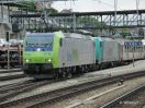 485-019-IMG_5334