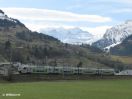 515-000-IMG_6167_ausschn