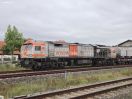 HVLE-1250-005-IMG_4361