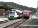 OBS-772-140-IMG_3050