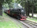 HSB-99-7241-IMG_0566