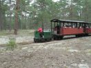 VS-801-IMG_5654