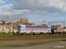 Rc4-1150-IMG_7228_a