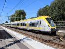 X61-401-IMG_1919_ausschn