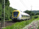 X61-404-IMG_9344_aus