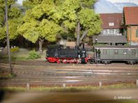 picture-0011