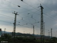 m_olaIMG_3265