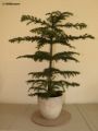 172_IMG_2632