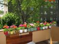 2012_IMG_6859