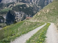 Feldweg zu einer Scheuer 'Uf der Flue'