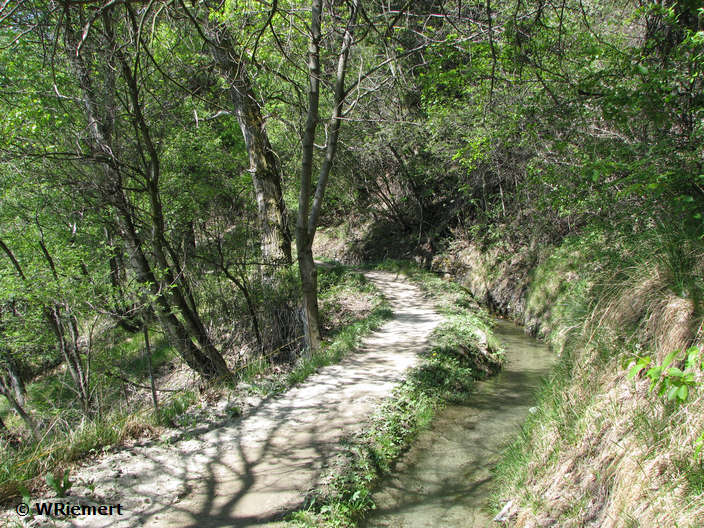Zur Bildergalerie Wanderung BLS-Südrampe bitte hier klicken Wanderweg