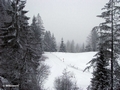 Ein erster Morgenblick aus unserem Zimmer, es schneit