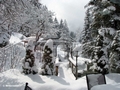 Blick aus dem Wintergarten auf die Terrasse