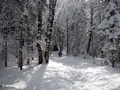 Winterwanderung, beim Nordportal des Scheiteltunnels