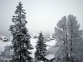 Blick vom Balkon unserer Hotelsuite, zwischen den beiden Tannen das Ruedihus