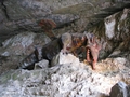 Drache, bewachte in der Vorzeit angeblich die Höhle