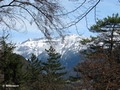 Berge südlich Interlaken (Jungfrau-Gruppe)