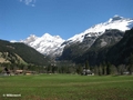 Blick Ri Oeschinensee mit Blüemlisalphorn