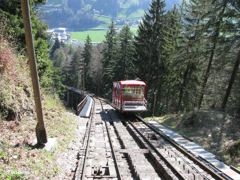 Niesen