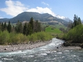 Wanderung an der Kander nach Frutigen