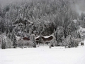 Waldhotel Doldenhorn