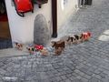 Brig, vor einem Taschenladen in der Mariengasse