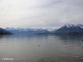 Blick über den Thuner See Richtung Eiger, Jungfrau usw., rechts der Niesen