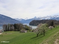 Blick auf den Thuner See von der Hauptstrasse über den Gheiweg