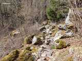 Bergweg