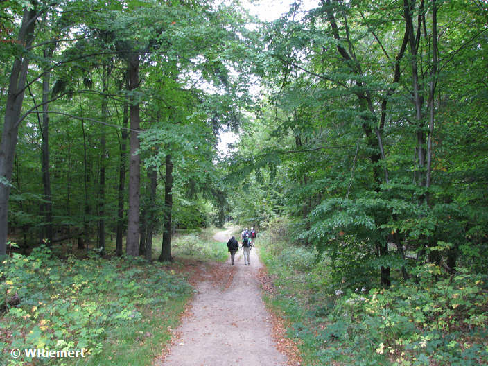 Zur Bildergalerie auf einer neuen Seite bitte hier klicken Wanderweg