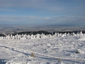 Blick nach Norden ins Flachland