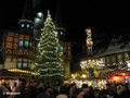 Weihnachtsbaum und Marktbrunnen (Wohltäterbrunnen)