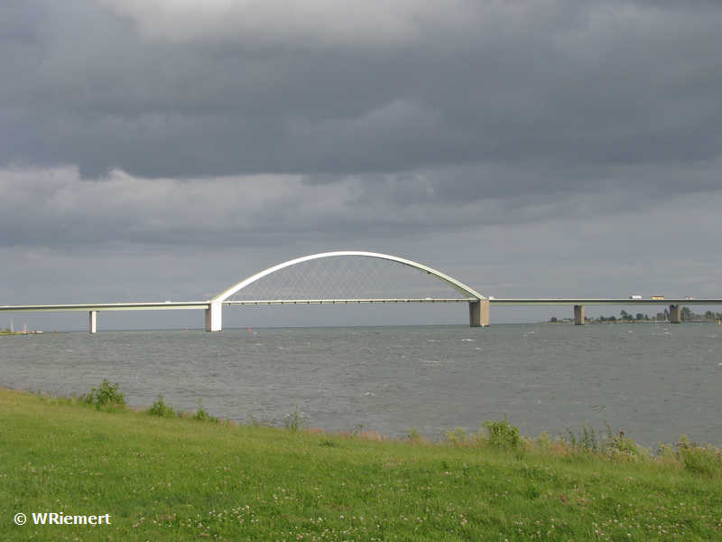 picture 0019