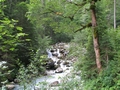 Am Wanderweg zur Höllentalklamm