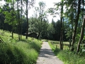 Wanderung über den Tegernseer Höhenweg nach Tegernsee