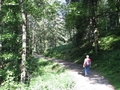 Wanderung über den Tegernseer Höhenweg nach Tegernsee