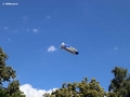 Zeppelin NT auf Rundflug