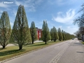 Thermalbadstraße