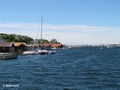 Storekalv
