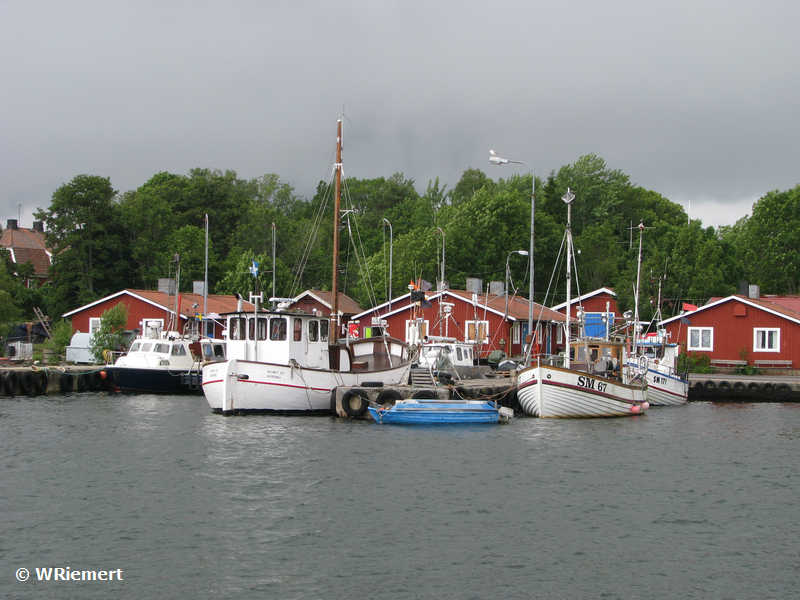 Vaeddoe