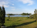 Graugänse bei Pataholm
