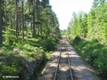 Auf schmalen Gleisen durch die Wälder