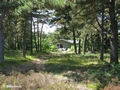 Unser Ferienhaus