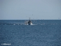 Fischerboot kurz vor dem Hafen Svaneke