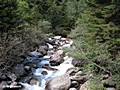 Bergbach bei der Nasereithütte / Zufluß zum Wasserfall