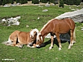 Idylle am Hochganghaus