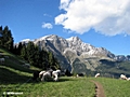 Giggelberg / Stacklwand (2834 mtr) und Tschigat (2998 mtr)