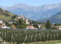 Blick über Naturns / Pfarrkirche St. Zeno und Burg Hochnaturns