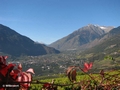 Blick in Richtung Algund / Vinschgau