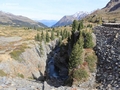 Beginn der Plimaschlucht vor der alten Staumauer